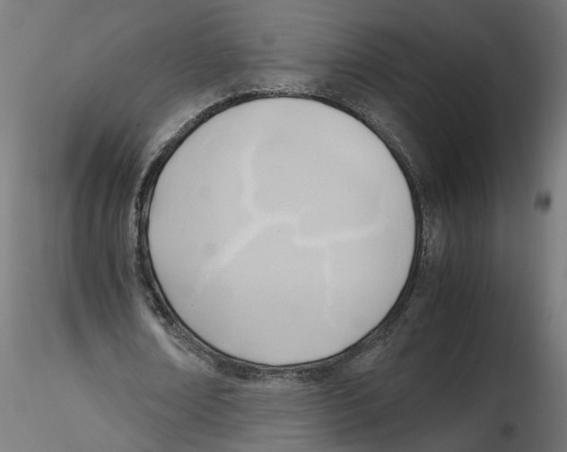 X0000116460674201001061039