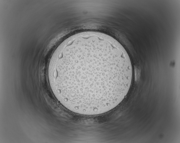 X0000116460675201001061039