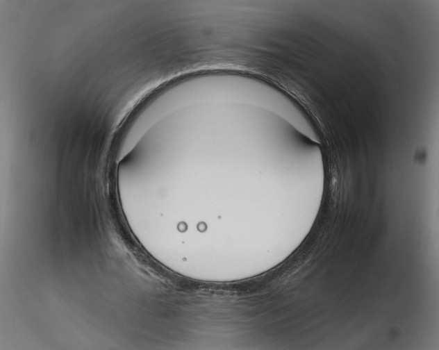 X0000116460676201001061039