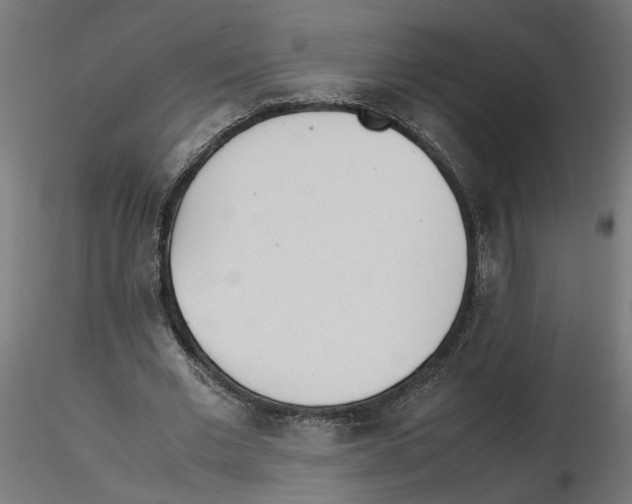 X0000116460677201001061039