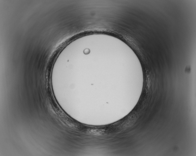 X0000116460680201001061039
