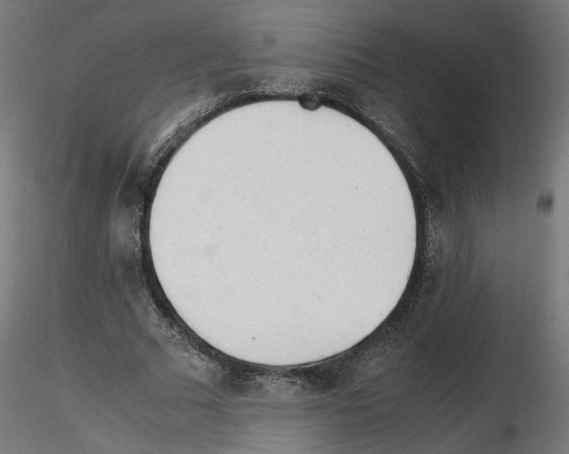 X0000116460681201001061039