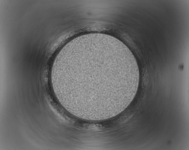 X0000116460683201001061039