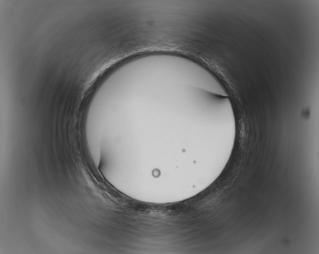 X0000116460684201001061039