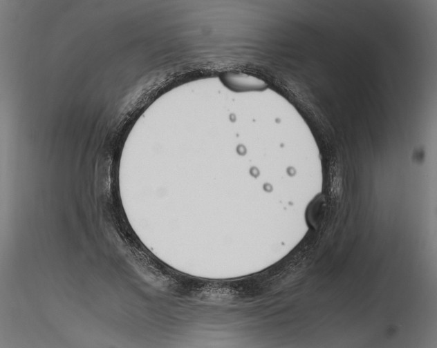 X0000116460685201001061038