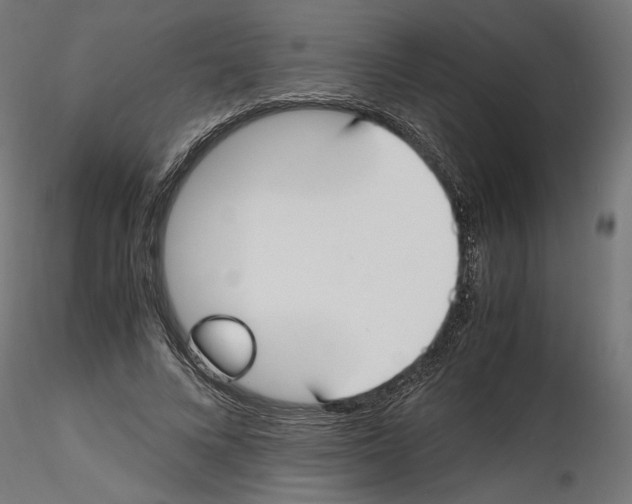 X0000116460688201001061038
