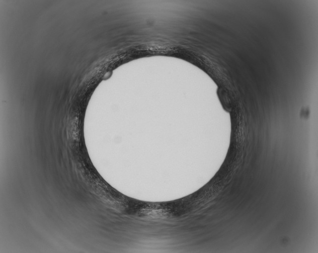 X0000116460689201001061038