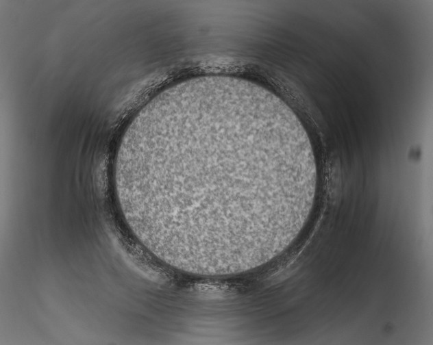 X0000116460690201001061038