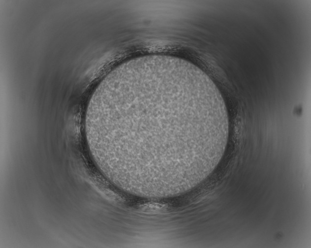 X0000116460691201001061038