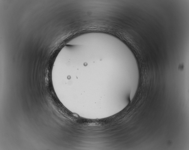 X0000116460692201001061038