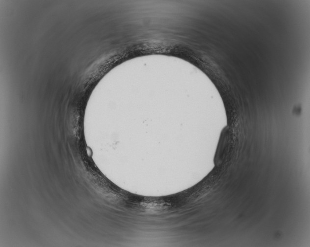 X0000116460693201001061038