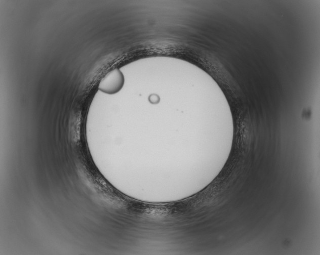 X0000116460694201001061038
