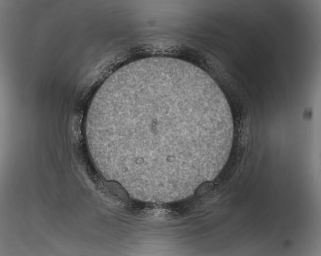X0000116460695201001061038