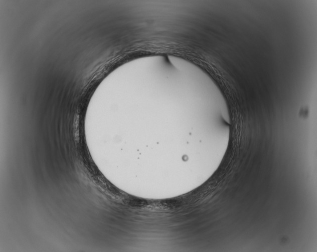 X0000116460696201001061038