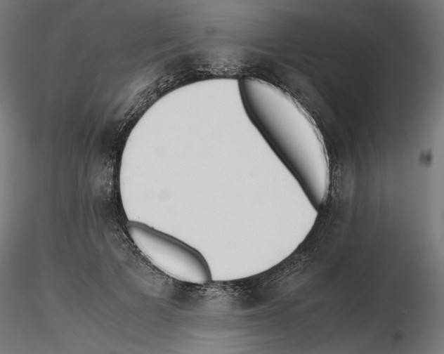 X0000116460697201001061038