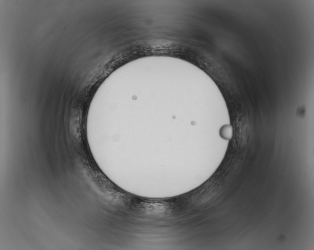 X0000116460698201001061038