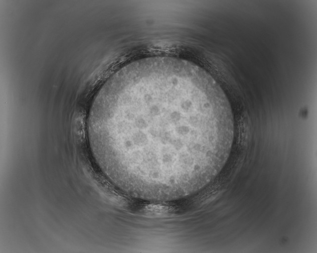 X0000116460699201001061038