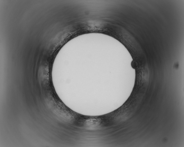 X0000116460700201001061038