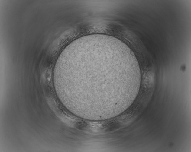 X0000116460701201001061038