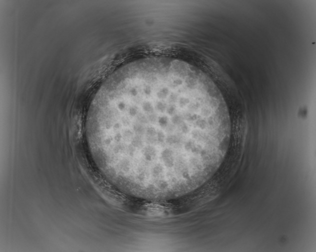 X0000116460703201001061038