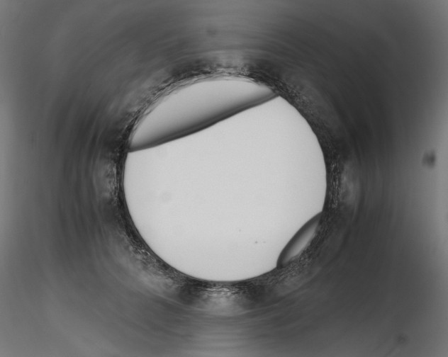 X0000116460704201001061038