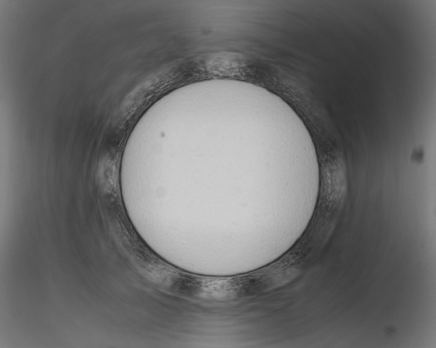 X0000116460705201001061038
