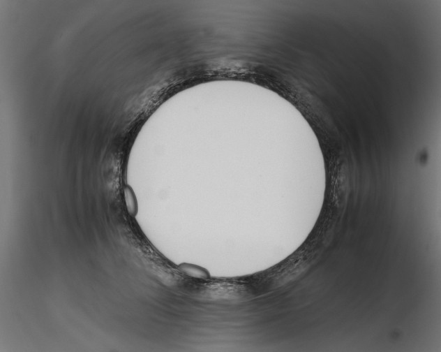 X0000116460708201001061038