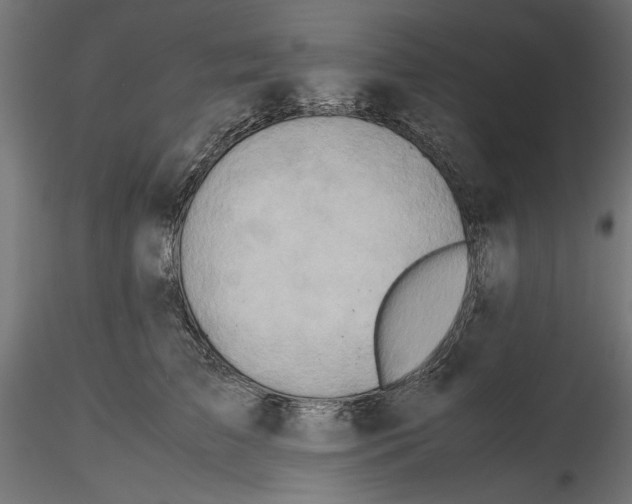 X0000116460709201001061038