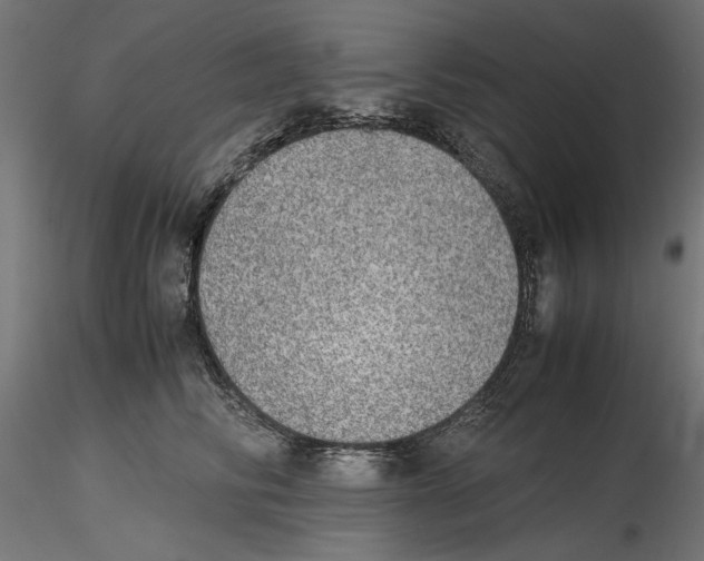 X0000116460710201001061038