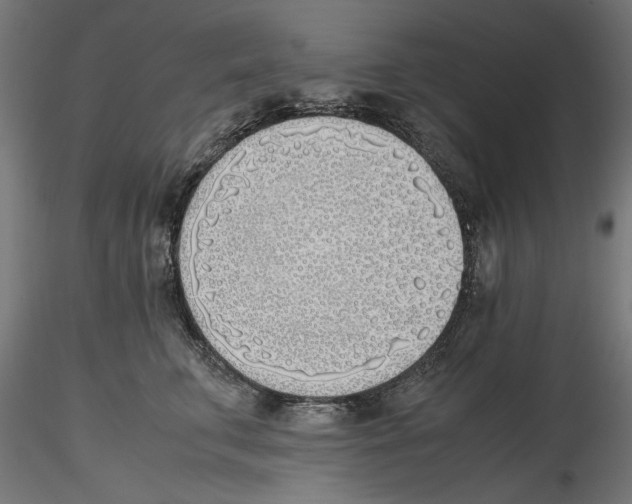 X0000116460711201001061038