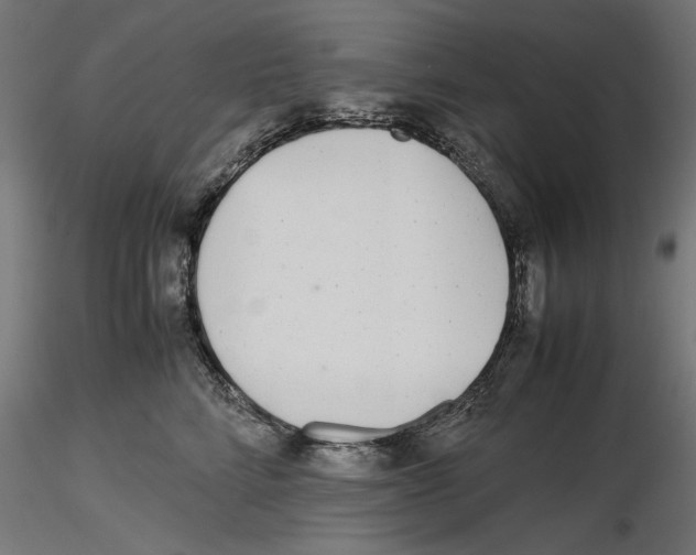 X0000116460712201001061038