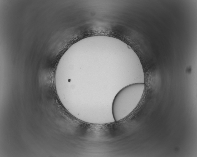 X0000116460713201001061038