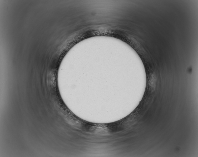 X0000116460715201001061038