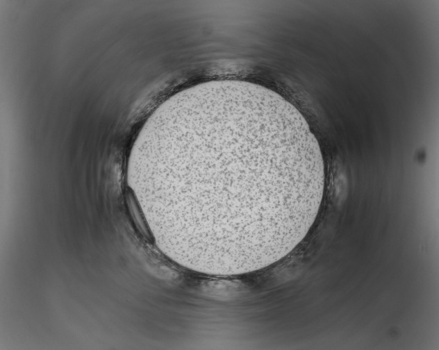 X0000116460716201001061038