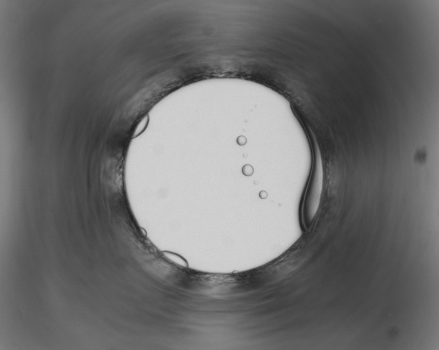 X0000116460719201001061038