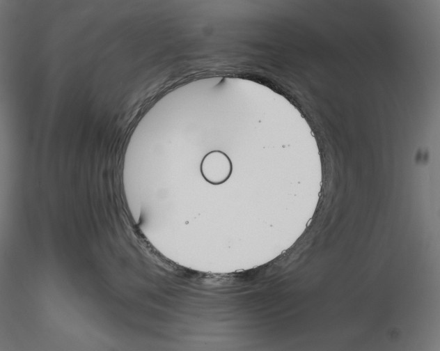 X0000116460720201001061038