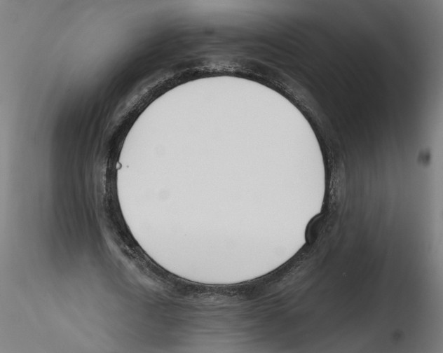 X0000116460722201001061037