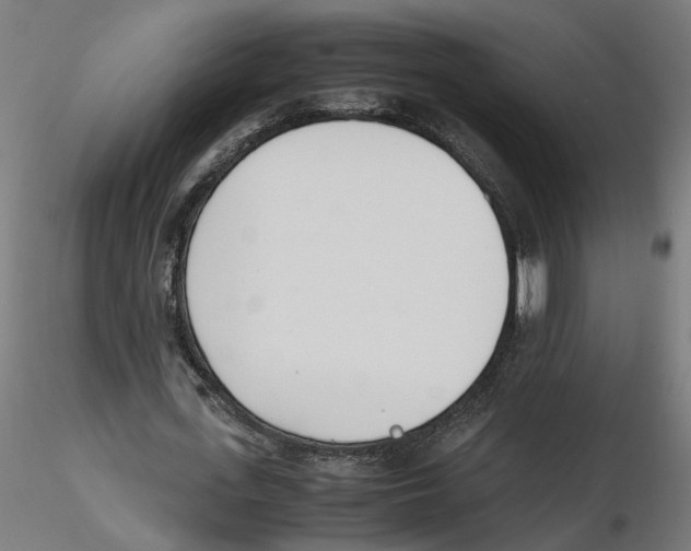 X0000116460723201001061037