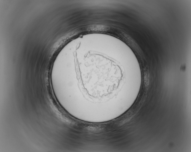 X0000116460725201001061037
