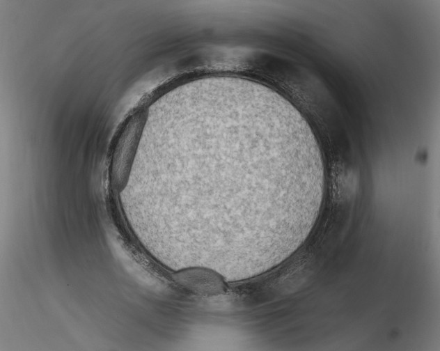 X0000116460726201001061037