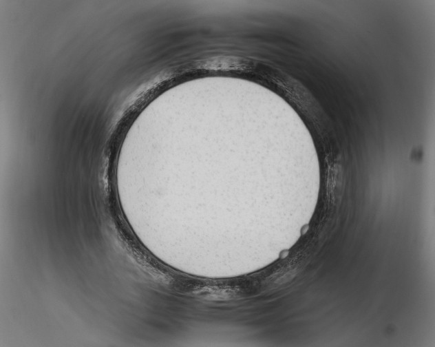 X0000116460727201001061037