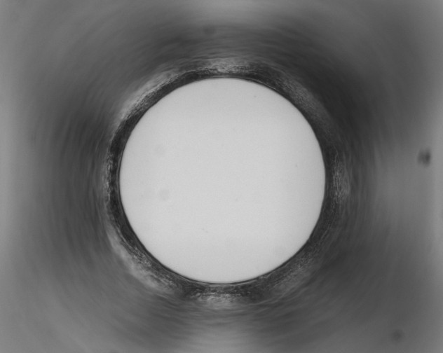 X0000116460730201001061037