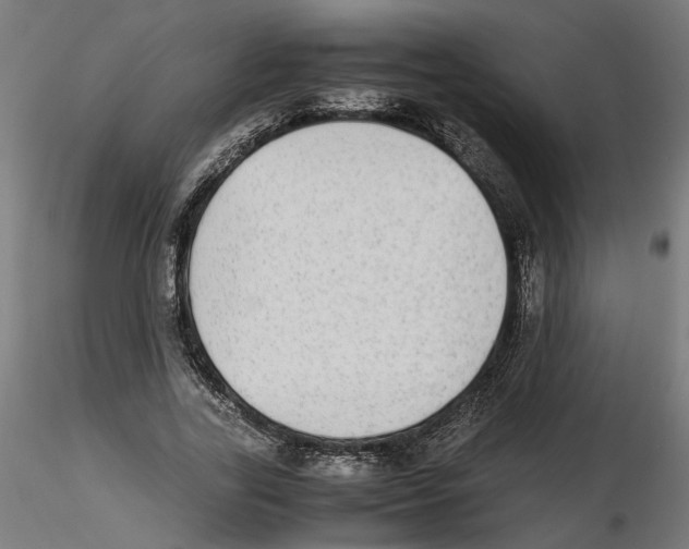 X0000116460731201001061038
