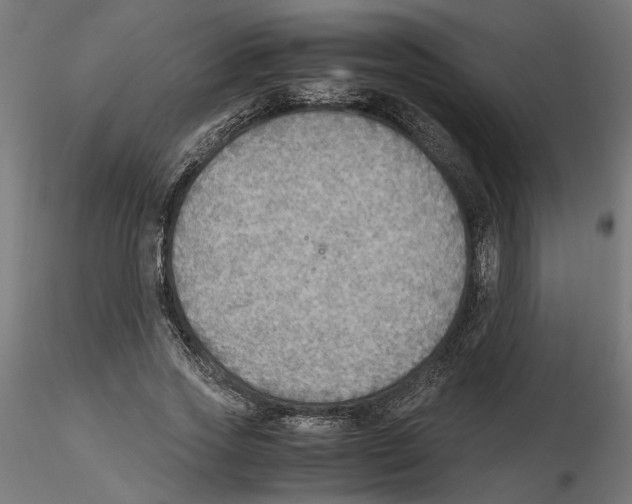 X0000116460733201001061038