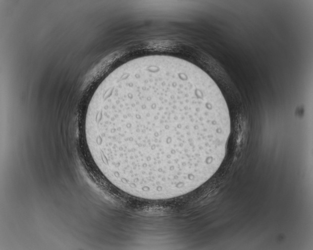 X0000116460734201001061038