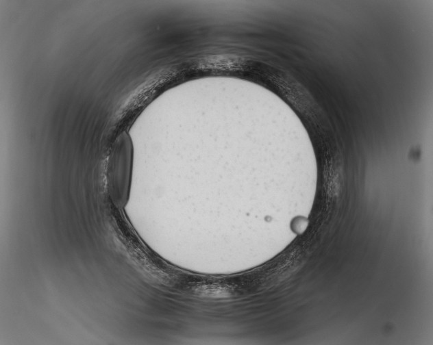 X0000116460735201001061038