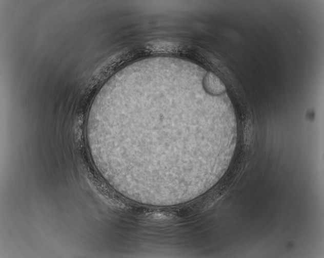 X0000116460737201001061038