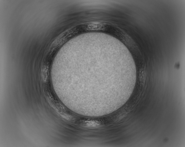 X0000116460741201001061038