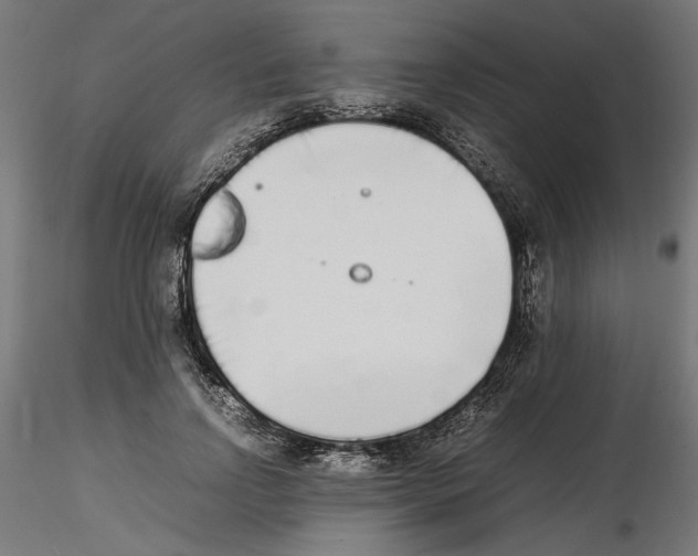 X0000116460742201001061038