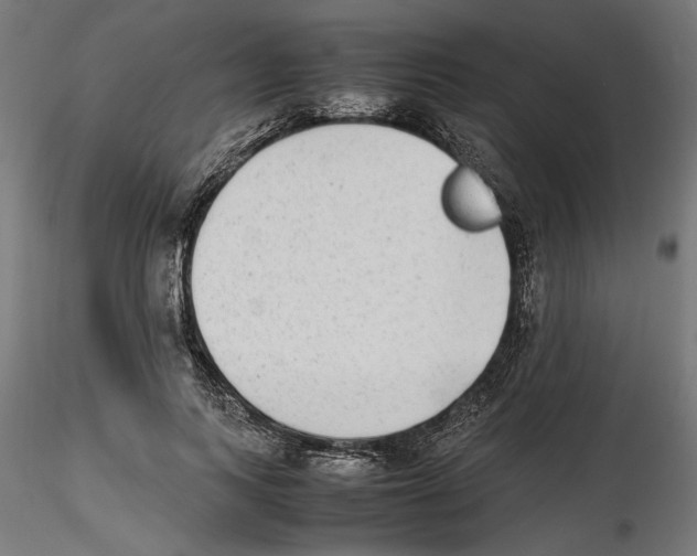 X0000116460743201001061038